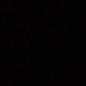 Meet your Posher, Leonardo